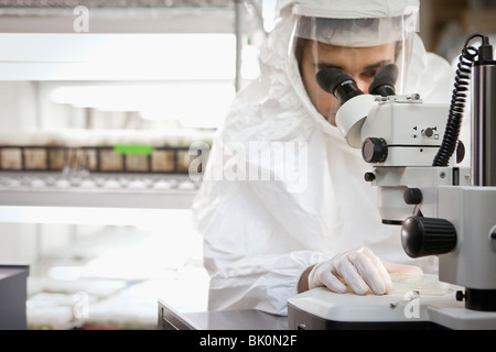 Nahen Ostens Wissenschaftler Mikroskop im Labor Stockfoto