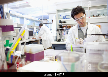 Nahen Ostens Wissenschaftler arbeiten im Labor Stockfoto