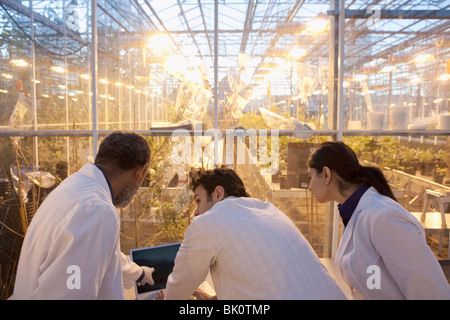 Wissenschaftler arbeiten im Gewächshaus-Labor Stockfoto