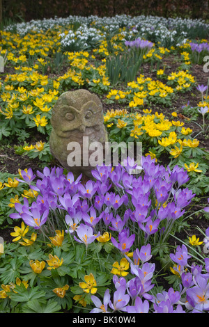 Schneeglöckchen Galanthus nivalis Crocus und Winterakoniten Eranthis hyemalis mit Eulengarten Ornament Stockfoto