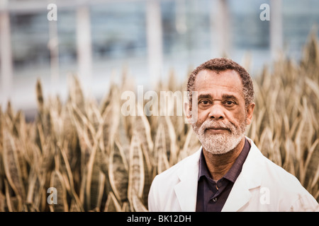 Afrikanische amerikanische Wissenschaftler arbeiten im Gewächshaus Stockfoto