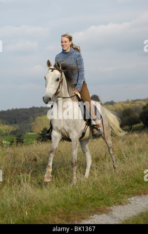 Frau reitet Arabisches Pferd Stockfoto