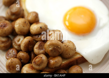 Frisch zubereitete gesunde englische Frühstück mit Spiegelei und Champignons auf Toast oder Brot und keine Personen Stockfoto