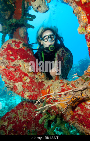 Taucher am Wrack Stockfoto