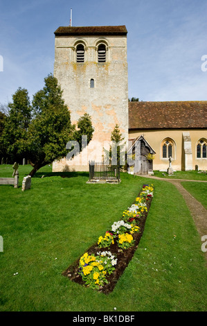 Ein Bett von Frühlingsblumen in der Kirche St. Bartholomäus Fingest Buckinghamshire UK Stockfoto