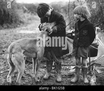 Gypsy Knaben mit Hund, Surrey, 1960er Jahre. Stockfoto