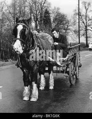 Gypsy Mann mit Pferd und Wagen, 1960er Jahre. Stockfoto