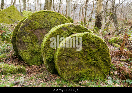 Aufgegeben von Mühlsteinen in einem alten Steinbruch im Peak District, Derbyshire, England, UK Stockfoto