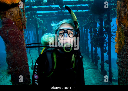 Taucher am Wrack Stockfoto