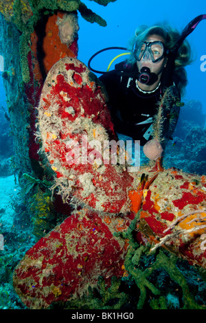 Taucher am Wrack Stockfoto