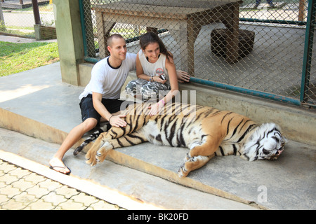 Schießen Sie auf Tiger Kingdom, eine touristische Attraktion in Chiang Mai, Thailand. Dasselbe wie in Koh Samui und pattaya Stockfoto