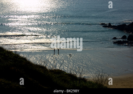 Ein Foto von oben ein paar zu Fuß ihren Hund am Strand von Polurrian Cove, Pfosten, Cornwall. Stockfoto