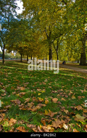 Rotten Row, Hyde Park, London Stockfoto