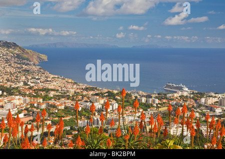 Madeira Portugal Madeira Blick auf Funchal, der Hauptstadt von Madeira über die Bucht und Hafen Altstadt Funchal Madeira Portugal Europa suchen Stockfoto