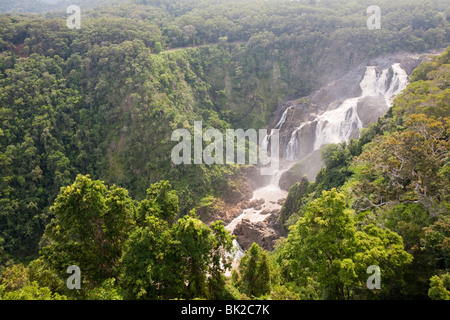 Die Barron unterschreitet Kuranda im Regenwald in Queensland, Australien. Stockfoto