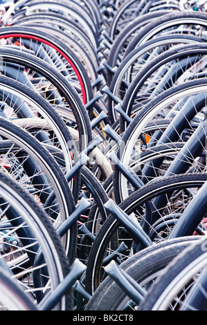 Viele Fahrräder parken in öffentlichen Parks in den Niederlanden Stockfoto