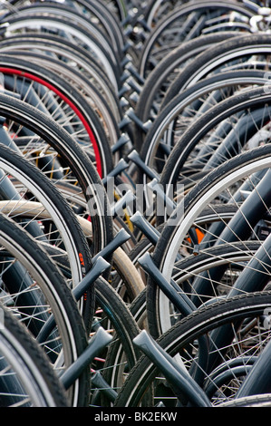 Viele Fahrräder parken in öffentlichen Parks in den Niederlanden Stockfoto