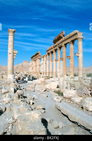 Oberen Kolonnade Street, Palmyra, Syrien. Stockfoto