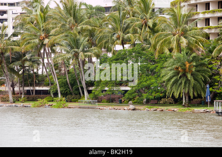 Eine Flut, Zoll ab Cairns, das zunehmend in Gefahr vom Meeresspiegelanstieg, Queensland, Australien ist überschwemmt. Stockfoto