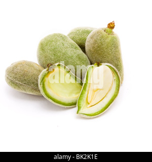 Grüne Mandeln isoliert auch bekannt als bittere Mandeln vor weißem Hintergrund. Stockfoto