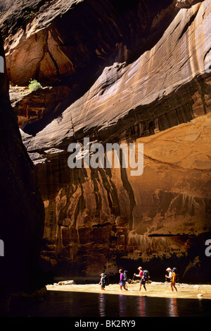 Wandern in North Fork des Virgin River in den Zion Narrows im Zion Nationalpark, Utah. Stockfoto
