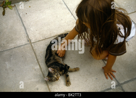 Kind mit Tabby Kitten 14 Wochen Fereal Katze domestiziert Stockfoto