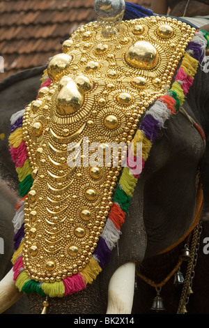 geschmückten Elefanten in Kerala während eines Festivals Stockfoto