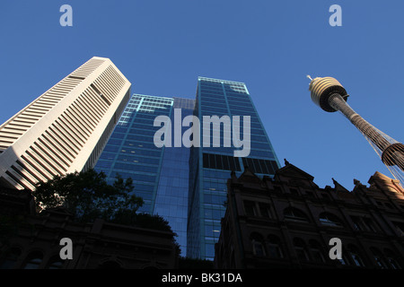 Sydney Tower, MLC Centre und andere CBD-Gebäude in der späten Nachmittagssonne. Stockfoto