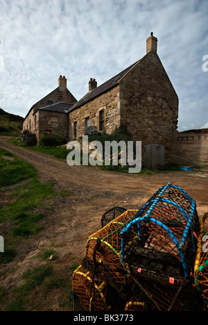 Fischer's Cottages. Hummer Töpfe vor dem Fischerhütten im verlassenen Dorf Cove auf der schottischen Grenze Stockfoto