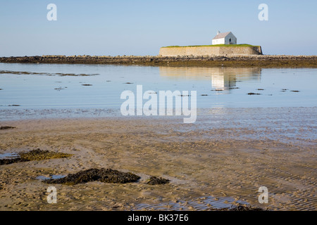 Im 12. Jahrhundert Llangwyfan Kirche auf kleine Gezeiten-Insel spiegelt sich in ruhiger See. Porth Cwyfan. Aberffraw. Anglesey, Nordwales Stockfoto