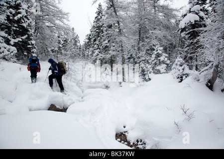 Zwei Wanderer überqueren der North Fork Hancock Bach in den Wintermonaten ist die ocated entlang der Cedar-Brook-Trail in Lincoln, New Hampshire, USA Stockfoto