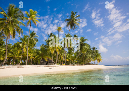 Hund, Insel, Comarca de Kuna Yala, San Blas Inseln, Panama, Mittelamerika Stockfoto