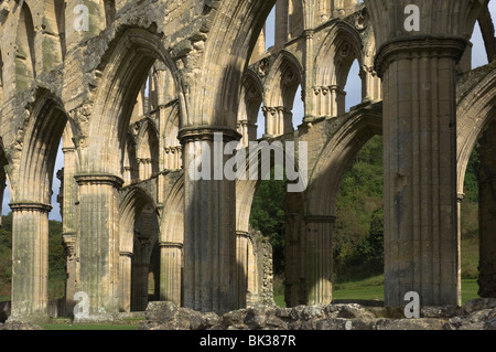 Interieur, 13. Jahrhundert Rievaulx Abtei, in der Nähe von Helmsley, North Yorkshire, England, Vereinigtes Königreich, Europa Stockfoto