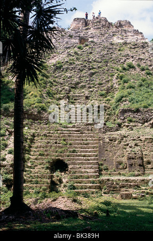 Maya-Tempel von hoch-Opfer oder Struktur N10-43 am Lamanai, Belize Stockfoto