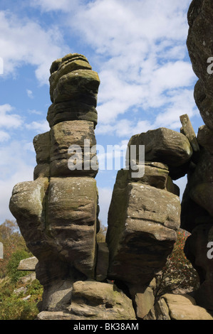 Brimham Rocks, Brimham Moor, in der Nähe von Ripon, North Yorkshire, England, Vereinigtes Königreich, Europa Stockfoto