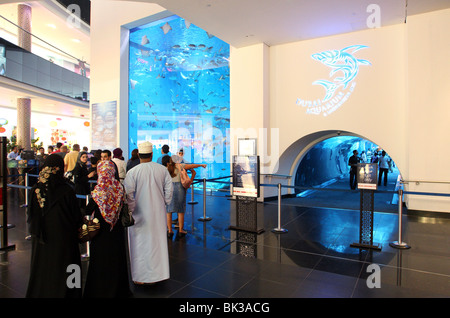 Dubai Aquarium und der Unterwasserzoo, Salzwasser-Aquarium in der Dubai Mall, Dubai, Vereinigte Arabische Emirate, Stockfoto