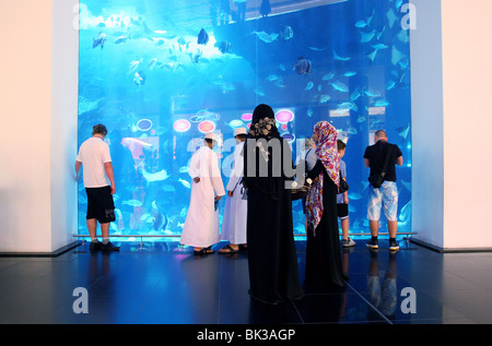 Dubai Aquarium und der Unterwasserzoo, Salzwasser-Aquarium in der Dubai Mall, Dubai, Vereinigte Arabische Emirate, Stockfoto