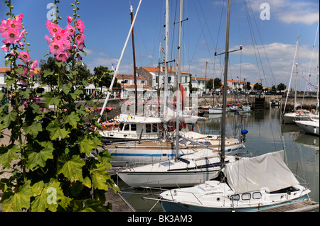 Stockrosen am Kai, Ars-En-Re, Ile de Ré, Charente-Maritime, Frankreich, Europa Stockfoto