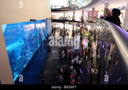 Dubai Aquarium und der Unterwasserzoo, Salzwasser-Aquarium in der Dubai Mall, Dubai, Vereinigte Arabische Emirate, Stockfoto