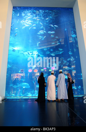 Dubai Aquarium und der Unterwasserzoo, Salzwasser-Aquarium in der Dubai Mall, Dubai, Vereinigte Arabische Emirate, Stockfoto