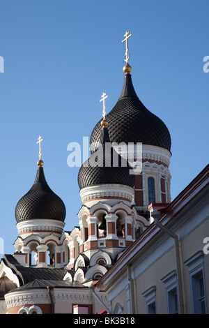 St. Alexander-Nevski-Kathedrale, Tallinn, Estland, Baltikum, Europa Stockfoto