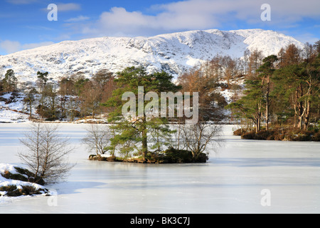 Tarn Hows in Winter, gefrorenen See mit Schnee auf den Fjälls. Seenplatte, Cumbria Stockfoto