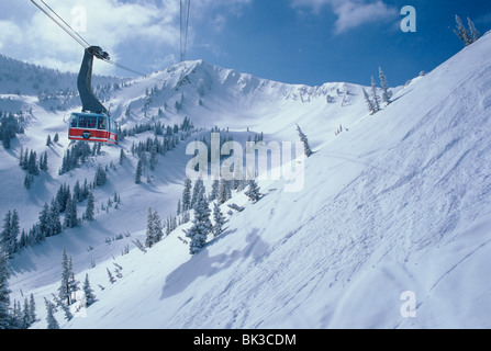 Snowbird Tram, Snowbird Ski & Snowboard Resort, Wasatch Berge in Utah Stockfoto