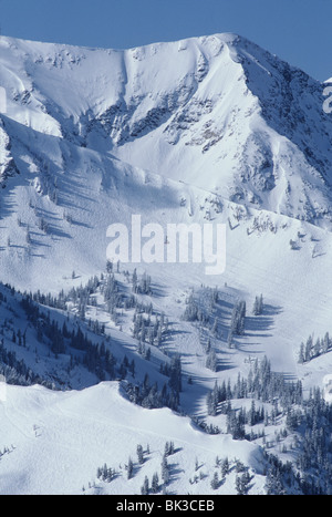 Snowbird Tram baumelt über The Cirque, Snowbird Resort, Wasatch Mountains, Utah Stockfoto