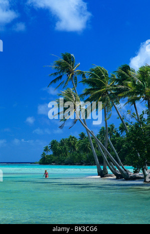 Eine Frau geht durch türkisfarbene Wasser unter Palmen auf der Insel Tahaa in Gesellschaftsinseln von Französisch-Polynesien. Stockfoto