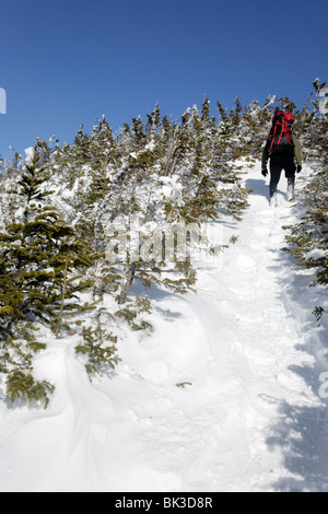 Pemigewasset Wildnis - ein Wanderer auf Bondcliff Spur nahe dem Gipfel des Bondcliff in den Wintermonaten. Das Hotel liegt in den White Mountains, New Hampshire, USA Stockfoto