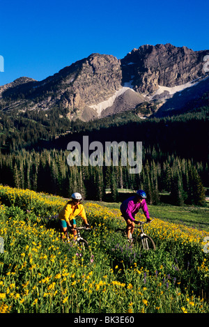 Mountainbike-Touren unterhalb des Teufels Burg in Albion Becken im oberen Little Cottonwood Canyon in den Wasatch Mountains, Nord-Utah. Stockfoto