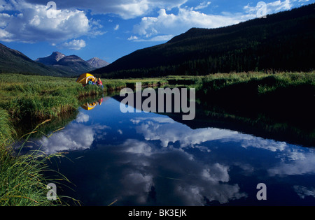 Campingplätze entlang der Stillwater Gabelung des Flusses Bär in Weihnachten Wiesen in den Uinta-Bergen von Nord-Utah. Stockfoto