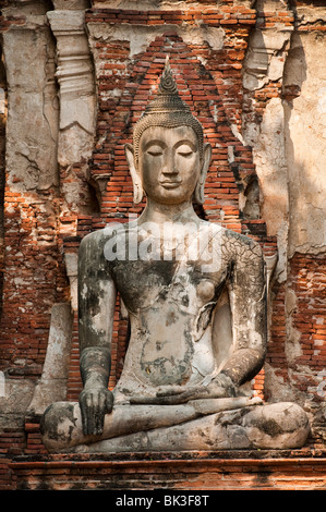 Buddha-Statue im Wat Mahathat buddhistischen Tempel Ruinen, Ayutthaya, Thailand. Stockfoto