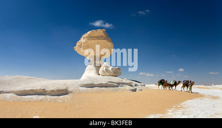 Kamele in der Nähe der skulpturalen Felsen Formen vor einem blauen Himmel wandern. Die Weiße Wüste in der Nähe von Farafra Oase, Ägypten. Stockfoto